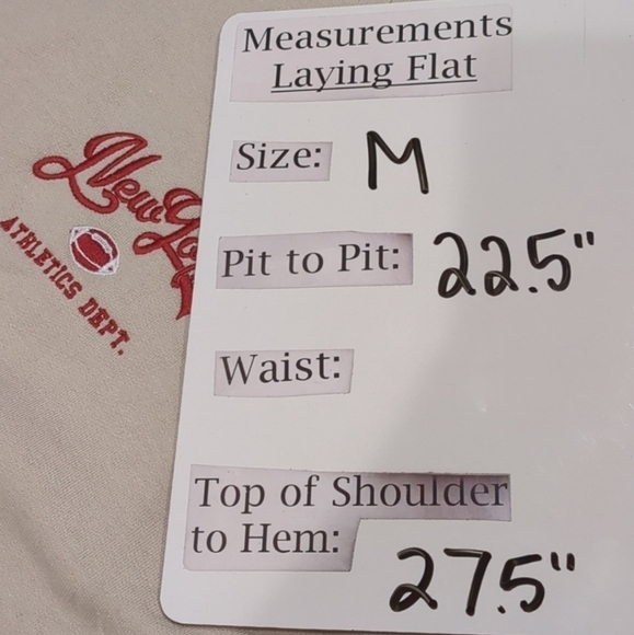 Nasty Gal Sand Neutral New York Embroidered Pullover Fleece Sweatshirt Medium - Picture 6 of 6